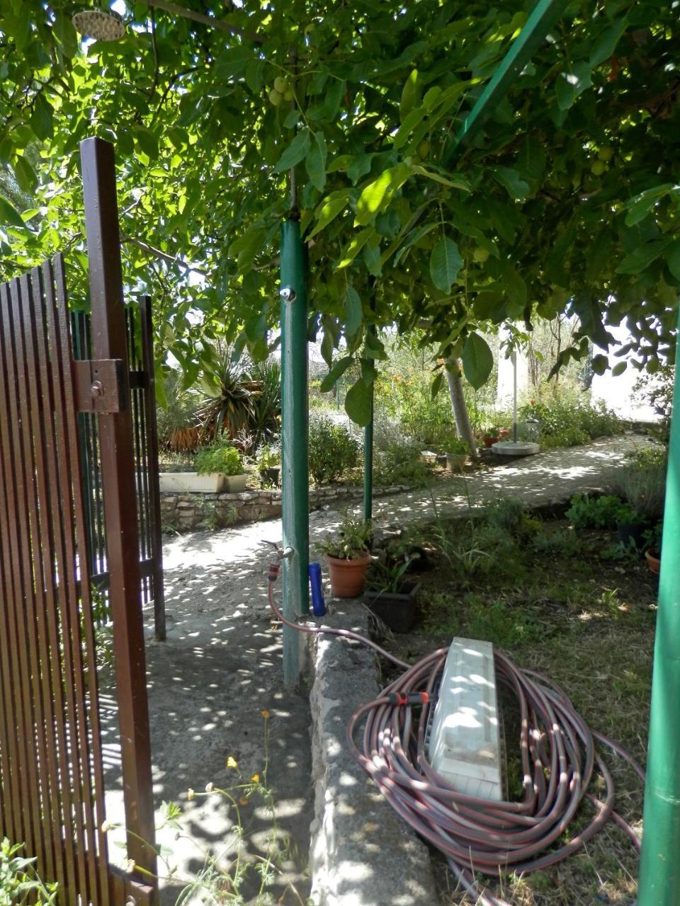 רוגוזניצה Apartments Zivana מראה חיצוני תמונה